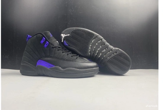 Black Dark Jordan CT8013-005 Air 12 Retro CT8013-005 Concord 0126